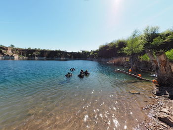 Ducks swimming in lake against clear sky