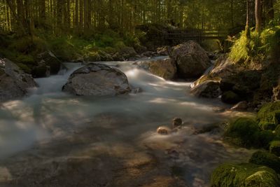 Stream flowing through rocks in forest