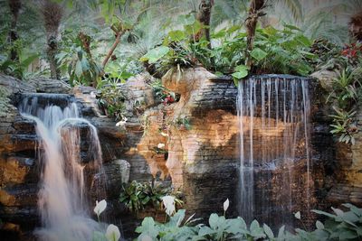 Scenic view of waterfall in forest