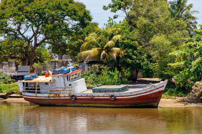 Boat moored in river against trees