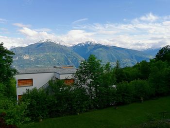 Houses by trees against sky