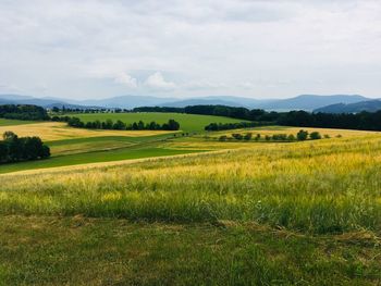 Moravian hills