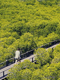 Woman walking on footbridge 