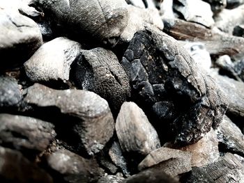 Detail shot of log