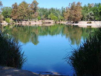 Scenic view of lake by trees against sky