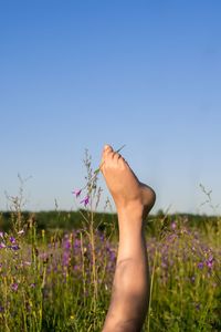 Low section of human feet on purple flowering meadow against sky
