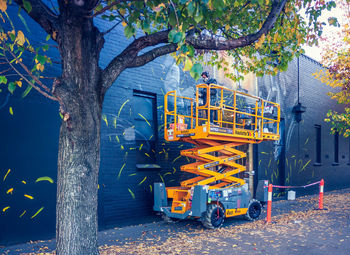 Graffiti on wall by trees in city