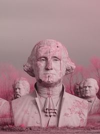 Close-up portrait of statue against pink and sky