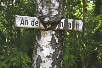 Information sign on tree trunk in forest