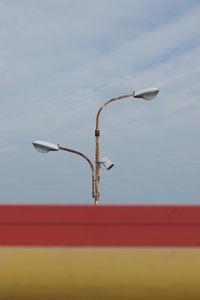 Close-up of seagull on street against sky