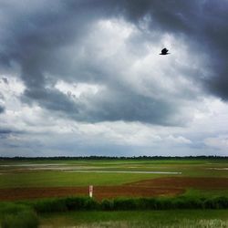 Scenic view of field against cloudy sky