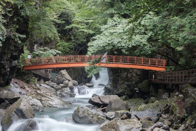 Bridge over rocks in forest