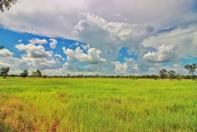 Scenic view of field against cloudy sky