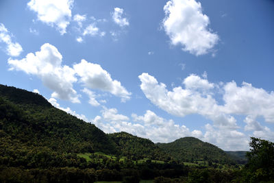 Low angle view of trees and mountains against sky