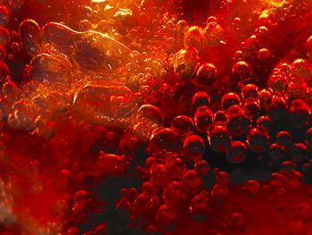 Close-up view of illuminated red lights