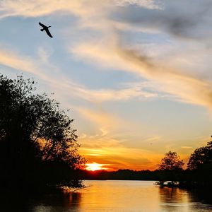 Silhouette bird flying over lake against sky during sunset