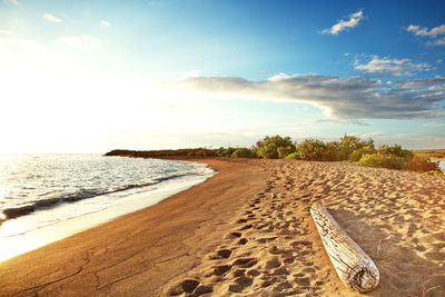 Scenic view of beach against sky