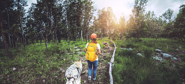 Rear view of man walking on footpath in forest