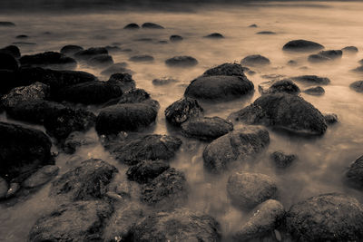 Scenic view of sea during sunset