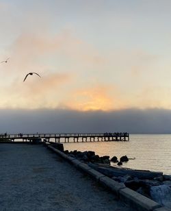 Seagulls flying over sea against sky