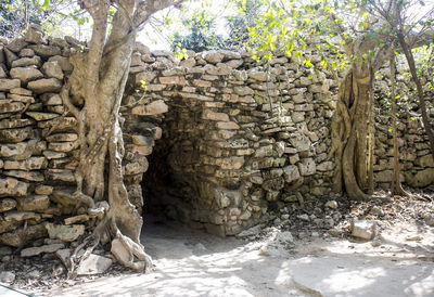 View of stone wall