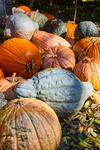 High angle view of pumpkins in market