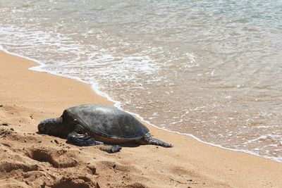 View of waves on beach