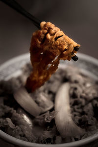 Close-up of mushroom