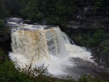 View of waterfall in forest