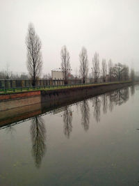 Reflection of trees in calm lake