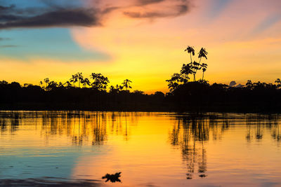 Silhouette of trees at sunset