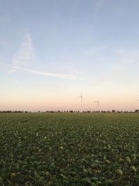 Scenic view of field against sky during sunset