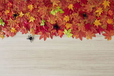 High angle view of orange leaves on table