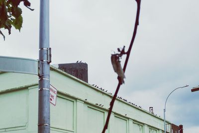 Low angle view of bird perching on tree