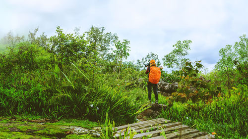 Rear view of woman walking on steps against sky