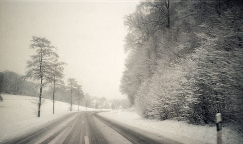 Road amidst trees against sky during winter