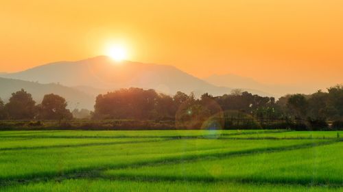Scenic view of field against sky during sunset