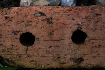 Close-up of rusty metal