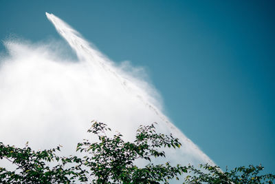 Low angle view of trees against sky