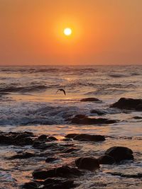 sunset