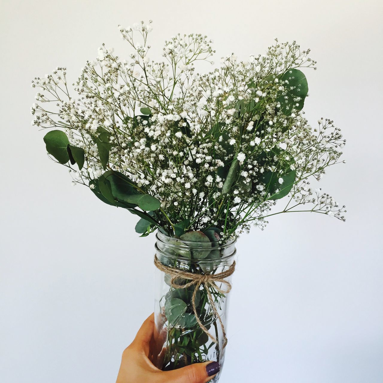 CLOSE-UP OF HAND HOLDING PLANT AGAINST WHITE BACKGROUND