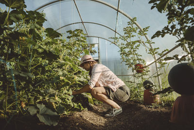 Mature farmer working in greenhouse