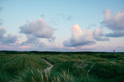 Scenic view of agricultural field against sky