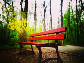 Red chairs in park during autumn