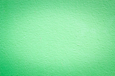 Full frame shot of green wall