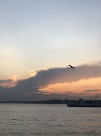 Silhouette bird flying over sea against sky during sunset