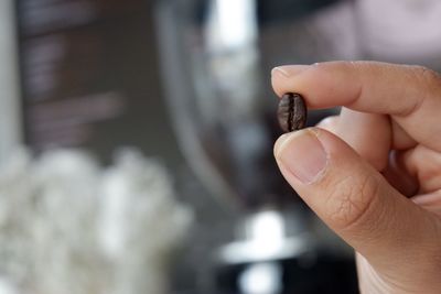 Cropped image of hand holding roasted coffee bean
