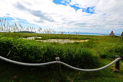 Scenic view of grassy field against cloudy sky