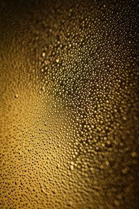 Full frame shot of coffee beans