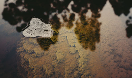 High angle view of rock on sea shore